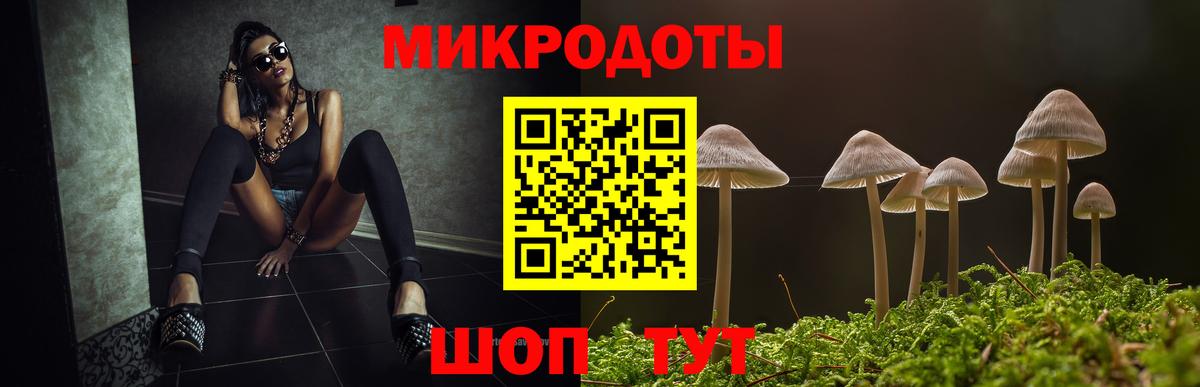 Галлюциногенные грибы Psilocybine cubensis Верхняя Салда